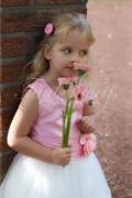 Flower girl dress TW0002BM - Flower girl dress pink ivory tulle taffeta Taubenweiss 2
