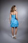 Bridesmaid dress TWBS02 3