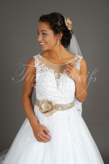 Wedding dress TW0143B - Wedding dress TW0143B brown band deep neckline lace tulle beadings train 3