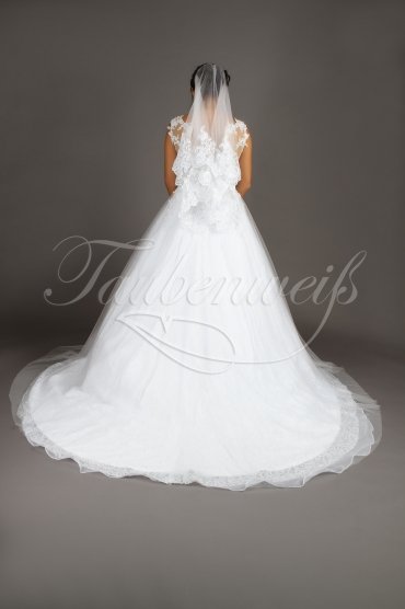 Wedding dress TW0143B - Wedding dress TW0143B brown band deep neckline lace tulle beadings train 4