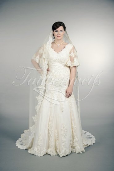 Wedding dress TW0159B - Wedding dress TW0159B plus size XXL trumpet bell sleeves lace condensed beadings train 1